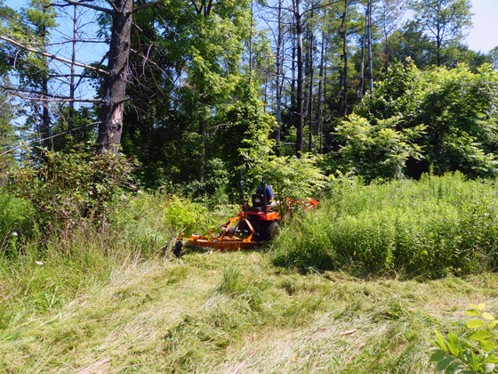 Clearing brush with the rotary cutter