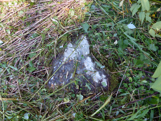 Rock scraped by a mower