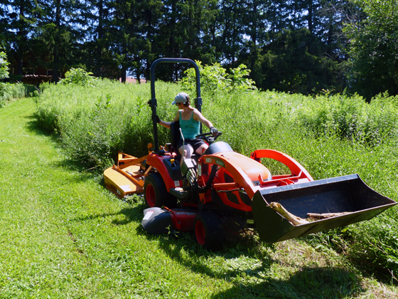 Clearing brush with the rotary cutter
