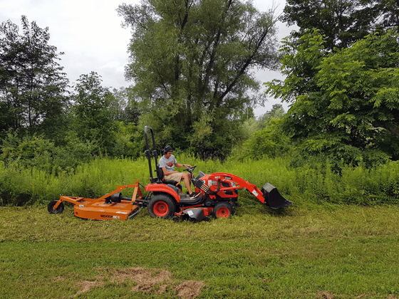 Mowing the overgrown grass around the pond