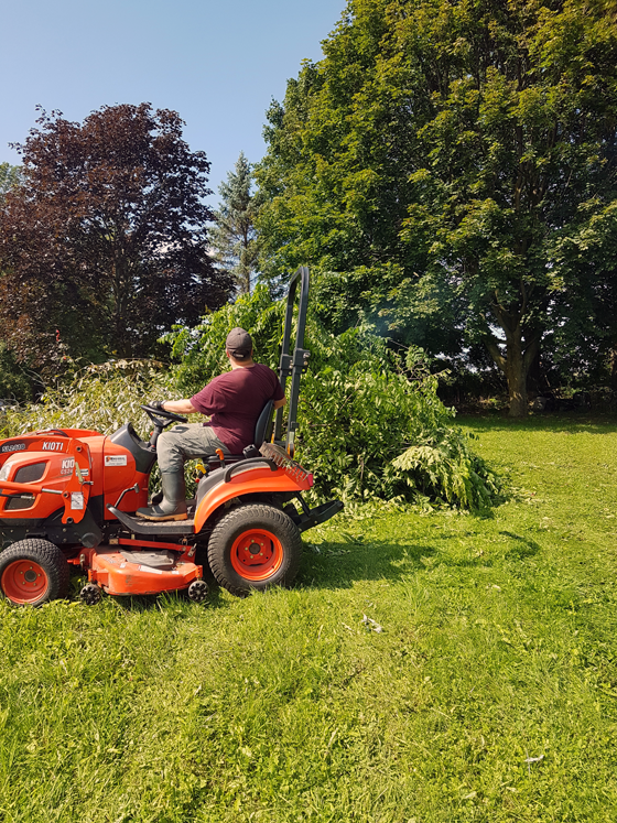 Matt on the tractor in front of our burn pile