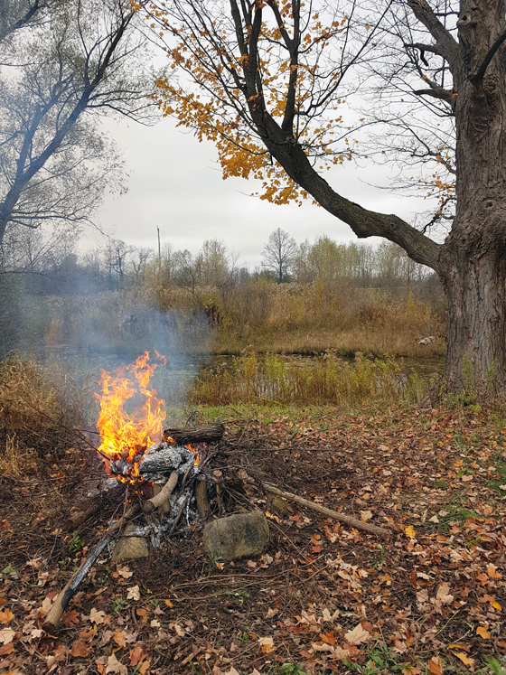 Fire on the shore of the pond