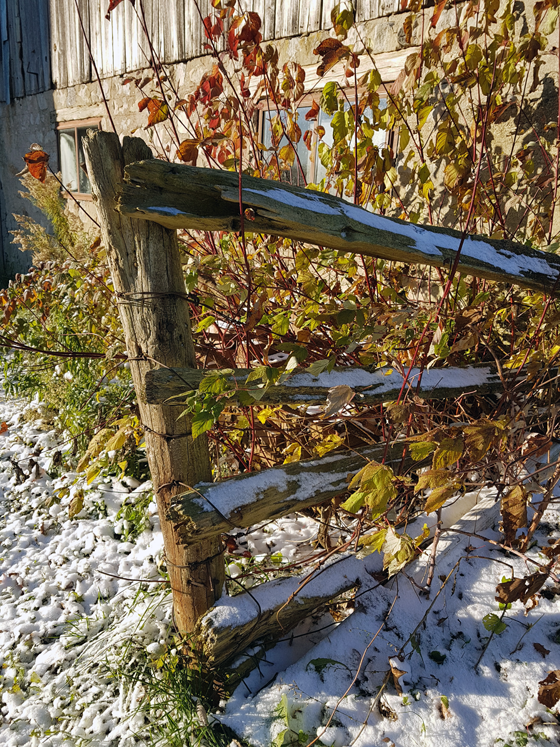 Snow dusting the split rail fence by the barn