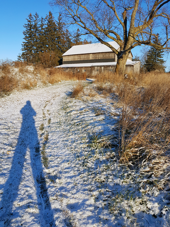 Snow on the barn roof
