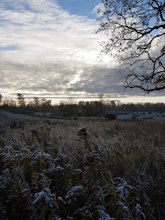 Frost covered fields at sunrise
