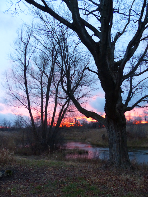 Red sky over the pond at sunset