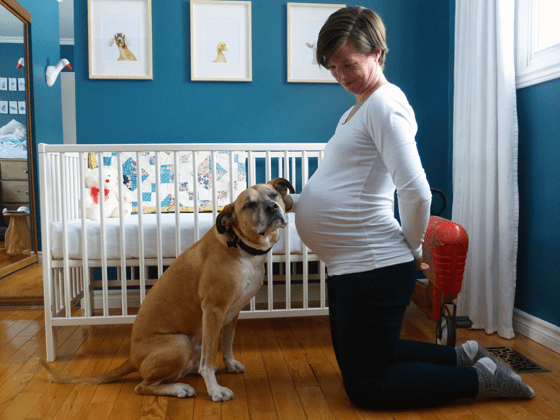 Baxter and me in the baby's room