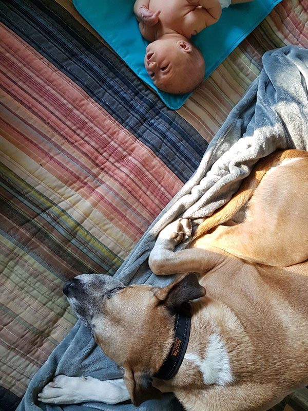 Ellie and Baxter on the bed