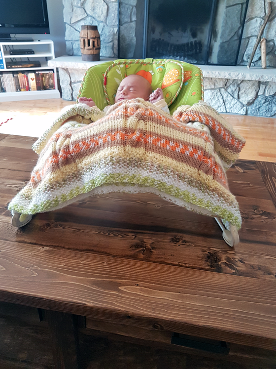 Ellie in her chair on the coffee table