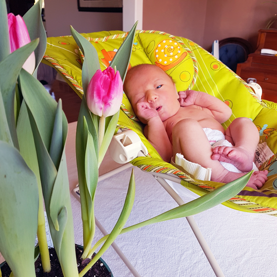Ellie with pink tulips