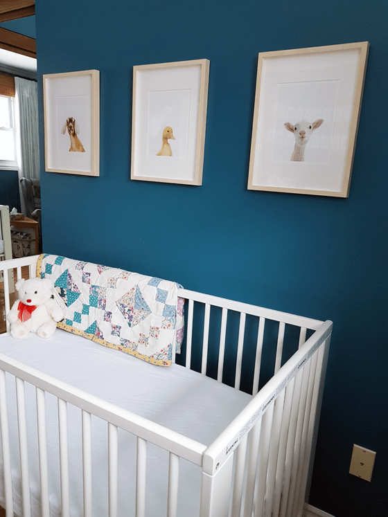 Animal portraits in a turquoise gender neutral nursery