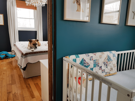 Baxter looking into the nursery