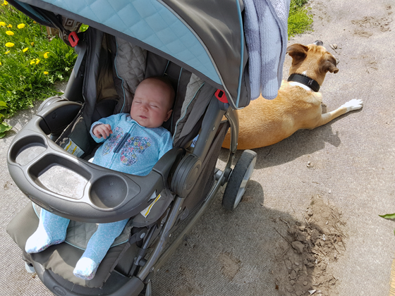 Ellie in her stroller in the garden