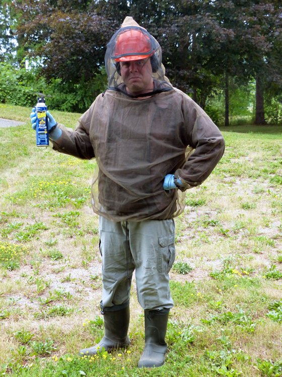 Matt dressed for wasp eviction