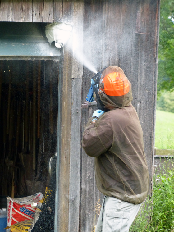 Spraying a wasp nest
