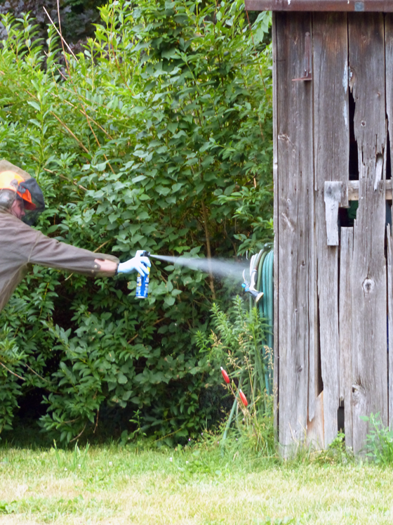 Spraying a wasp nest