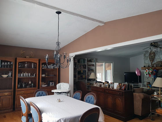 Vaulted ceiling in the dining room
