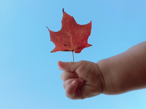 Ellie holding a red leaf against the blue sky