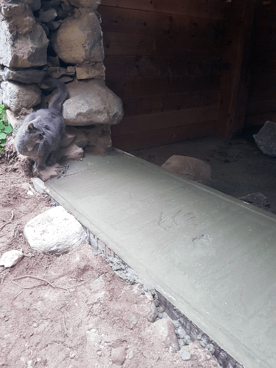 Handprints in cement