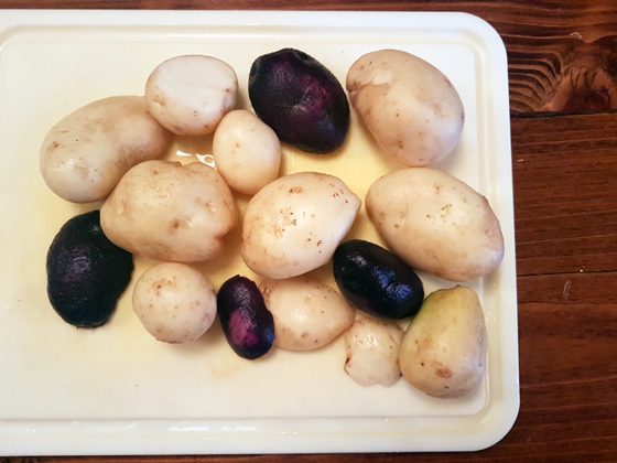 White and purple potatoes on the cutting board