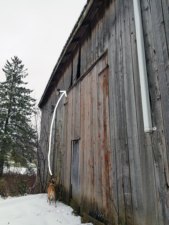 Patching wood siding on a barn
