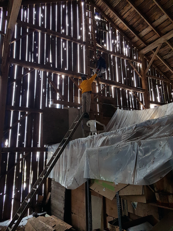 Climbing inside the barn