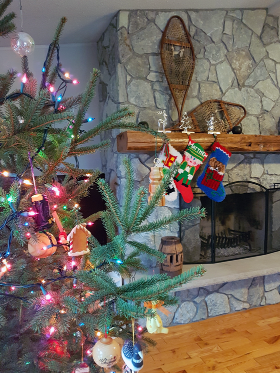 Christmas tree in front of the fireplace