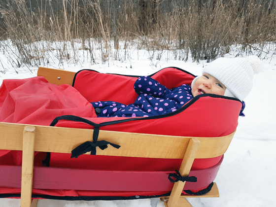 Ellie in her sleigh