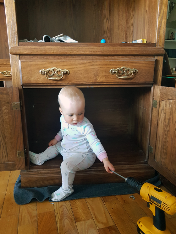 Ellie sitting in the china cabinet