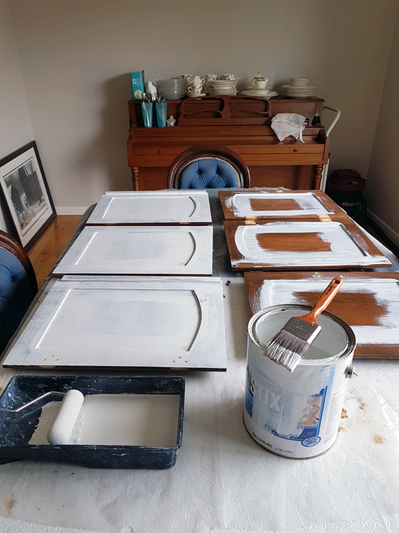 Priming cabinet doors