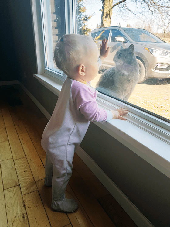 Ellie and Ralph in the dining room