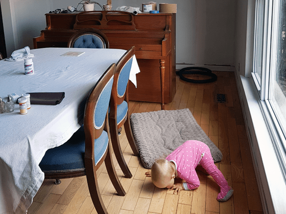 Ellie in the dining room