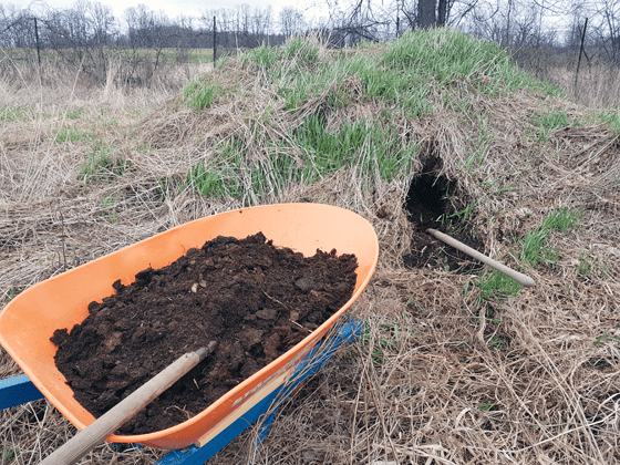 Digging into the manure pile