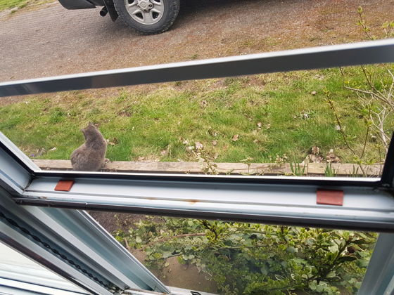 Repairing a cracked vinyl window