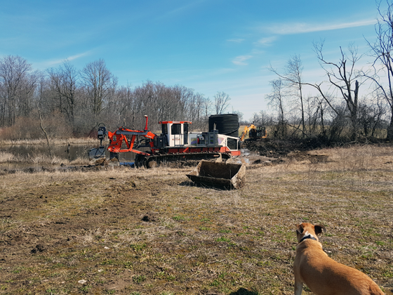 Baxter watching the drainage plow tiling the field