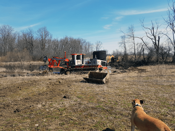 Baxter watching the drainage plow tiling the field