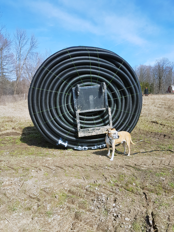 Baxter standing in front of a spool of weeping tile