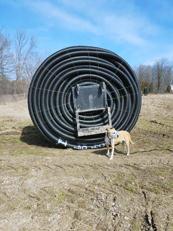 Baxter standing in front of a spool of weeping tile