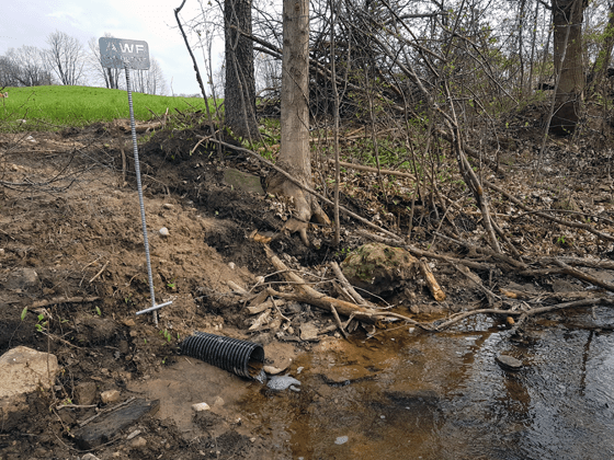 Field drainage tile flowing into a creek