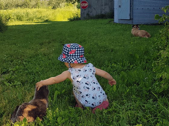 Ellie, Ralph and Baxter