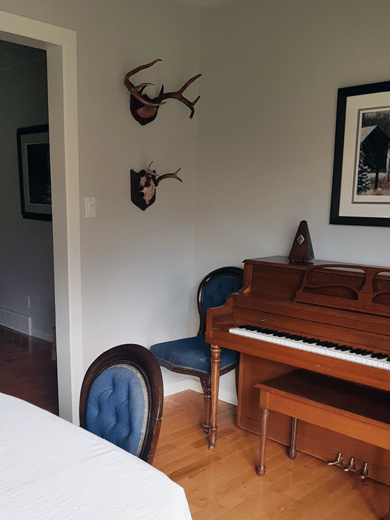 Two sets of antlers hanging in the dining room