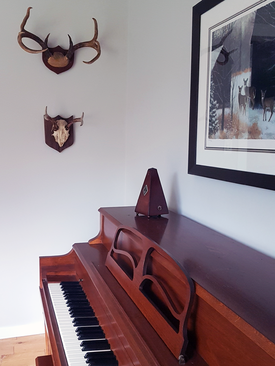 Two sets of antlers hanging in the dining room
