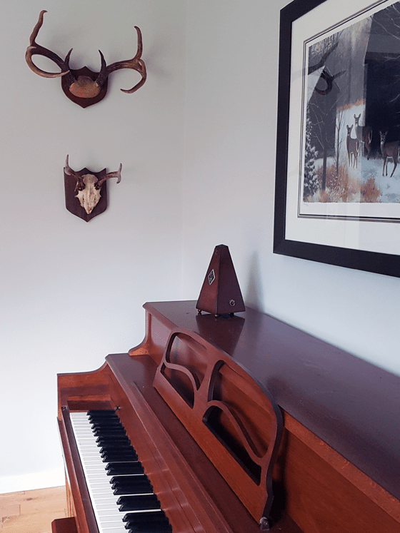 Two sets of antlers hanging in the dining room