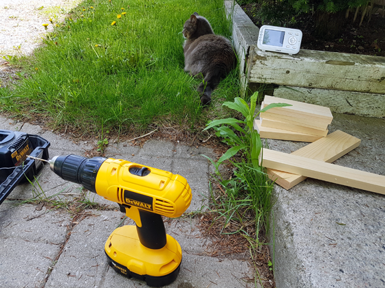 Assembling the stool outside with our barncat