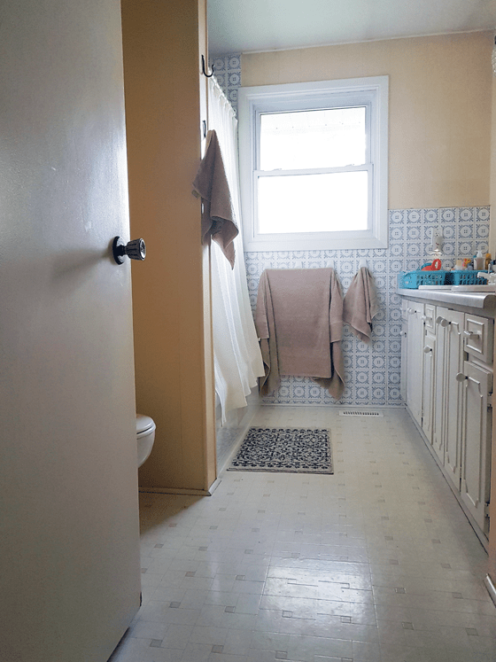 Main bathroom before