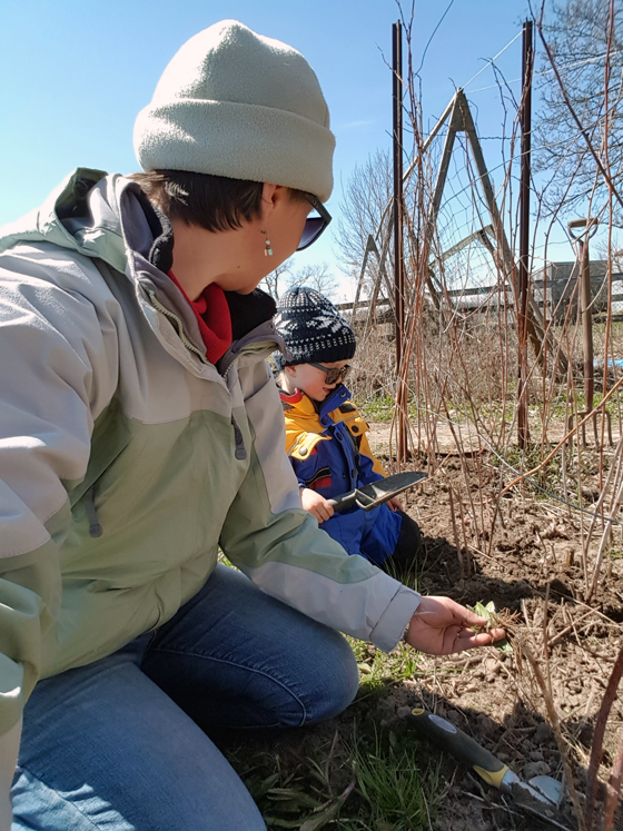 Weeding the vegetable garden with Ellie