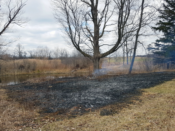 Controlled burn beside the pond