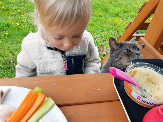 Picnic lunch with the barn cat
