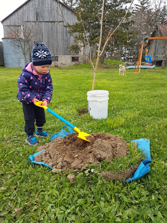 Planting a tree for Mother's Day