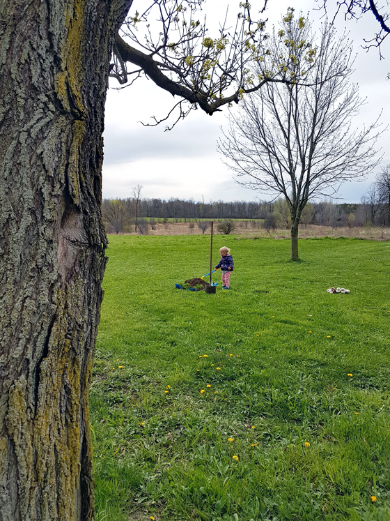 Planting a tree for Mother's Day